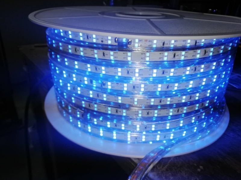 120V Strip-12-LQ