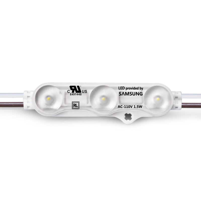 110V Module
