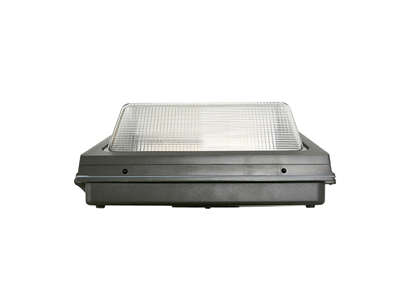 Wallpack-19-YX-4